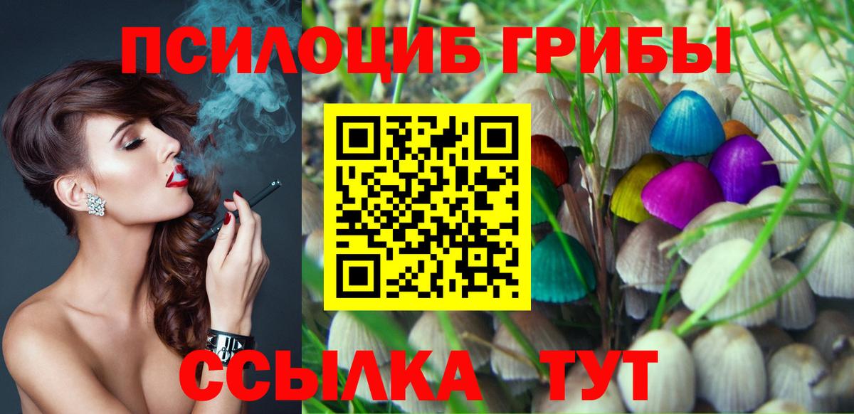 Нижнекамск  как найти   Вход с VPN  Галлюциногенные грибы мухоморы 